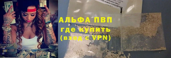 стафф Алзамай