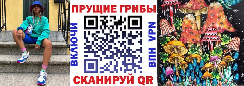 закладки  Волгодонск  Галлюциногенные грибы мухоморы 