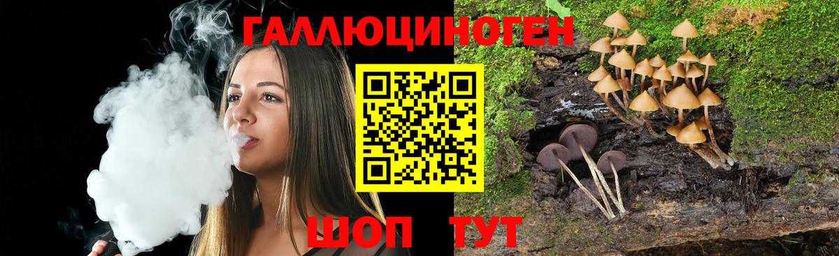 Псилоцибиновые грибы Psilocybine cubensis  Вход с VPN  как найти закладки  Волгодонск 