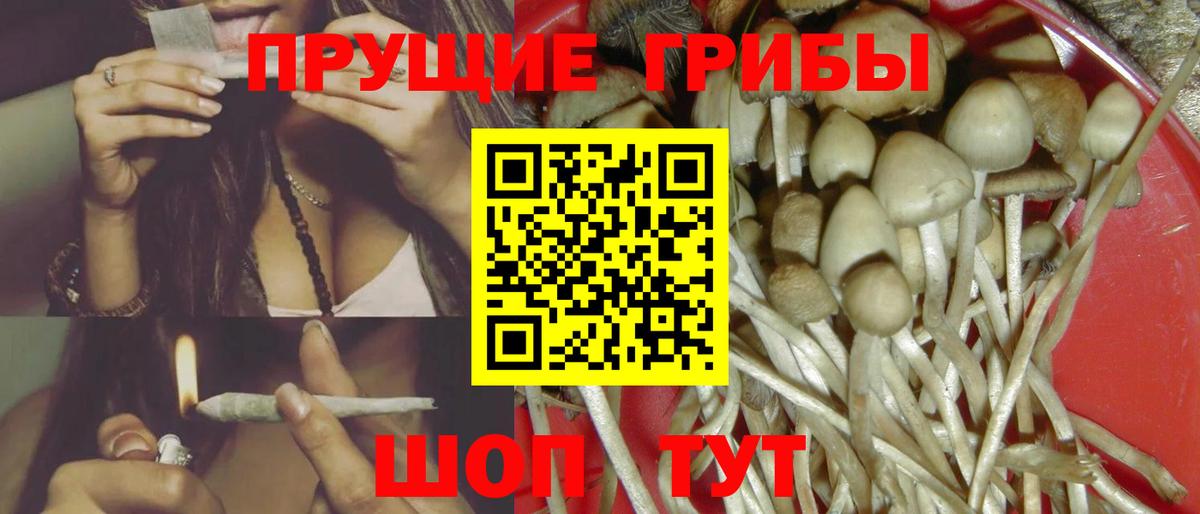 Галлюциногенные грибы мицелий Волгодонск